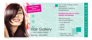 Layout 1 (Page 1) Deals Discounts Hair Gallery 1 300x131 Coupons for Monterey, Salinas Great Deals and Discounts